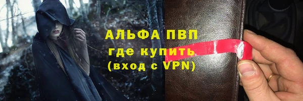 индика Абаза