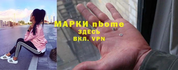 сатива Абинск