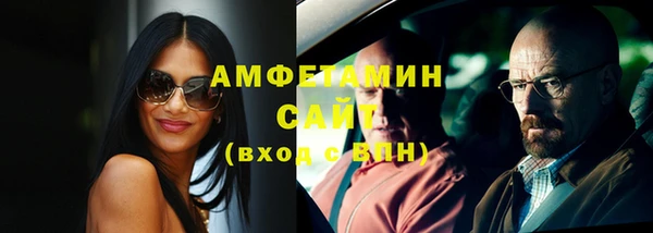 индика Абаза