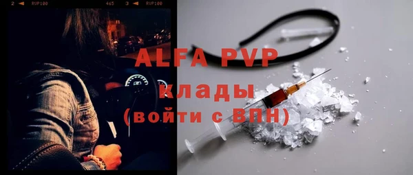 индика Абаза
