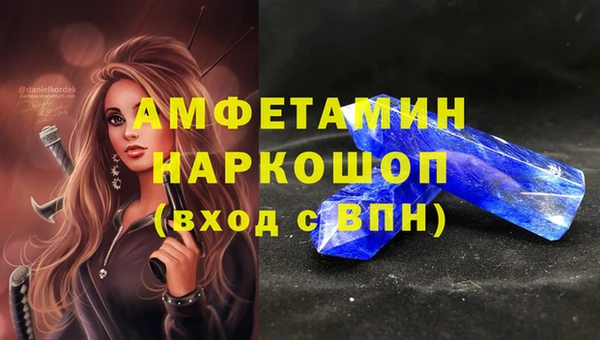 индика Абаза