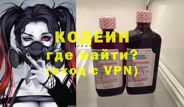 индика Абаза