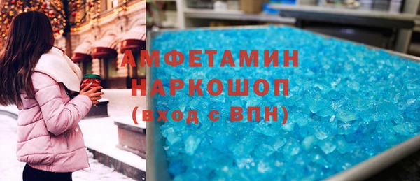 индика Абаза