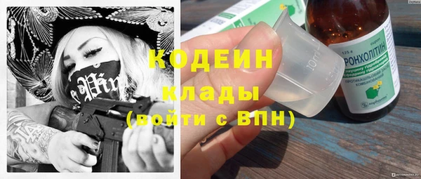 индика Абаза