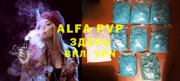 индика Абаза