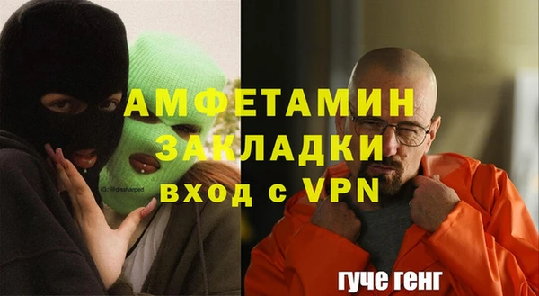индика Абаза