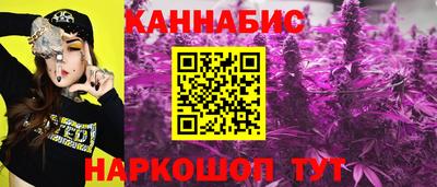 прущие грибы Обь
