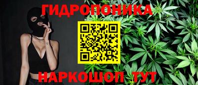 прущие грибы Обь