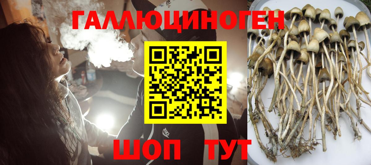 Галлюциногенные грибы MAGIC MUSHROOMS  Вход с VPN  Сызрань 